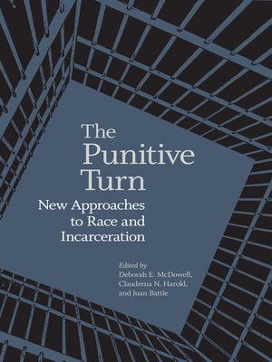 cover image of The Punitive Turn